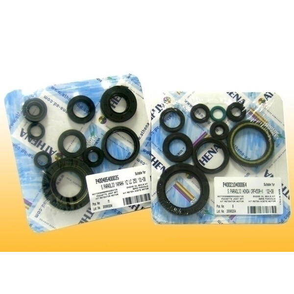 Motor-Dichtring-Kit - P400485400188
