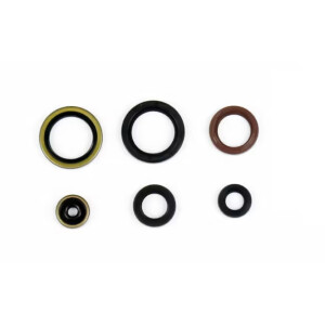 Motor-Dichtring-Kit - P400270400077