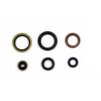 Motor-Dichtring-Kit - P400270400077