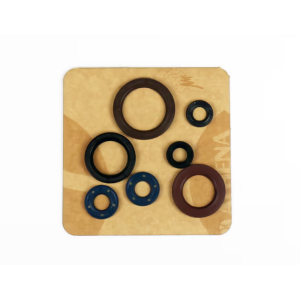 Motor-Dichtring-Kit - P400270400078