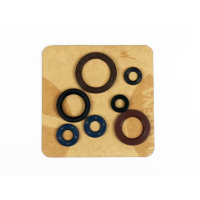 Motor-Dichtring-Kit - P400270400078