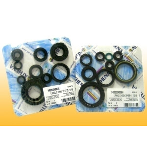 Motor-Dichtring-Kit - P400485400118
