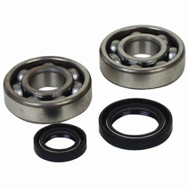 PROX Kurbelwellenlager & Öldichtsatz YZ250F 21-