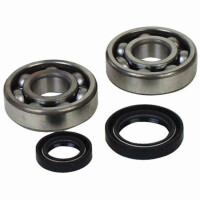 PROX Kurbelwellenlager & Öldichtsatz YZ250F 21-