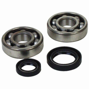 Kurbellager Rep Satz YZ85