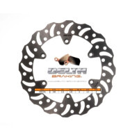 Delta Bremsscheibe Hinten YZ125/250/2022- 250F