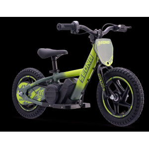 Elektrisches Laufrad Sedna MX 12" Grün