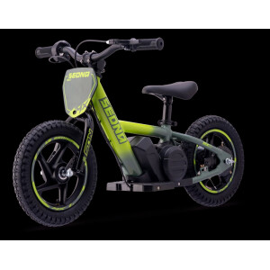 Elektrisches Laufrad Sedna MX 12" Grün
