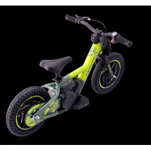 Elektrisches Laufrad Sedna MX 12" Grün