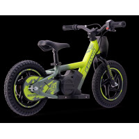 Elektrisches Laufrad Sedna MX 12" Grün