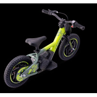 Elektrisches Laufrad Sedna MX 12" Grün