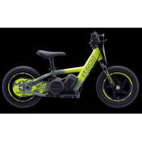 Elektrisches Laufrad Sedna MX 12" Grün