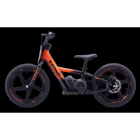 Elektrisches Laufrad Sedna MX 16" Orange