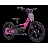 Elektrisches Laufrad Sedna MX 16" Pink