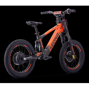 Elektrisches Laufrad Sedna SX 18" Orange