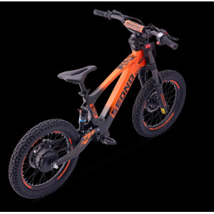 Elektrisches Laufrad Sedna SX 18" Orange