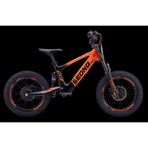 Elektrisches Laufrad Sedna SX 18" Orange
