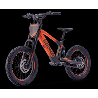 Elektrisches Laufrad Sedna SX 18" Orange
