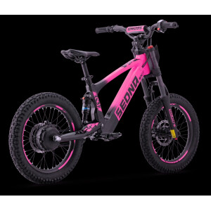 Elektrisches Laufrad Sedna SX 18" Pink