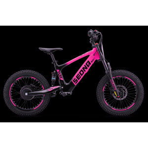Elektrisches Laufrad Sedna SX 18" Pink