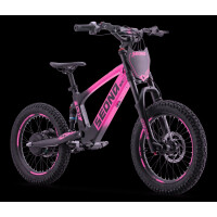 Elektrisches Laufrad Sedna SX 18" Pink