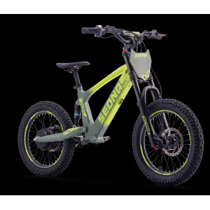 Elektrisches Laufrad Sedna SX 18" Grün