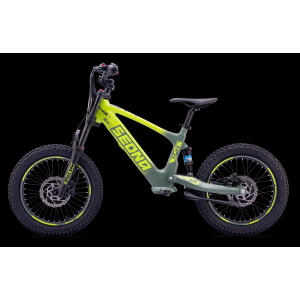 Elektrisches Laufrad Sedna SX 18" Grün