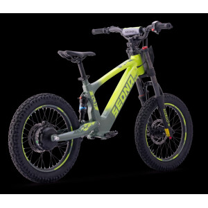 Elektrisches Laufrad Sedna SX 18" Grün