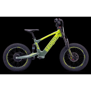 Elektrisches Laufrad Sedna SX 18" Grün