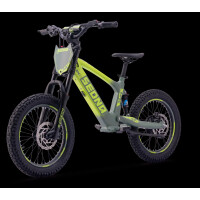 Elektrisches Laufrad Sedna SX 18" Grün