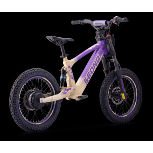 Elektrisches Laufrad Sedna SX 18" Lila