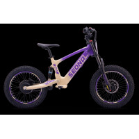 Elektrisches Laufrad Sedna SX 18" Lila