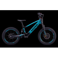 Elektrisches Laufrad Sedna SX 20" Blau