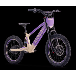 Elektrisches Laufrad Sedna SX 20" Lila