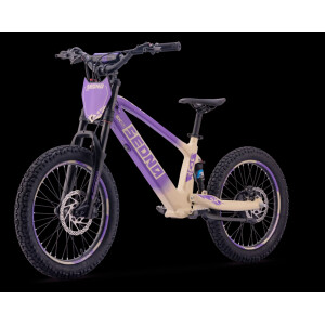 Elektrisches Laufrad Sedna SX 20" Lila