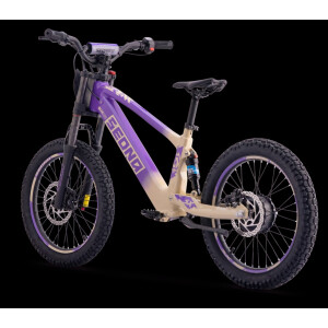 Elektrisches Laufrad Sedna SX 20" Lila