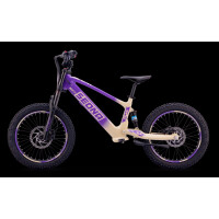 Elektrisches Laufrad Sedna SX 20" Lila