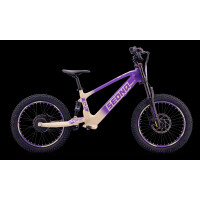 Elektrisches Laufrad Sedna SX 20" Lila