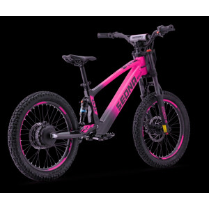 Elektrisches Laufrad Sedna SX 20" Pink