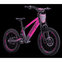 Elektrisches Laufrad Sedna SX 20" Pink