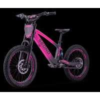Elektrisches Laufrad Sedna SX 20" Pink