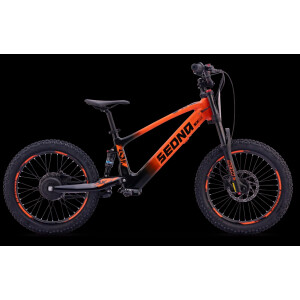 Elektrisches Laufrad Sedna SX 20" Orange