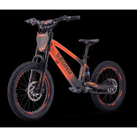 Elektrisches Laufrad Sedna SX 20" Orange