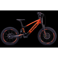 Elektrisches Laufrad Sedna SX 20" Orange
