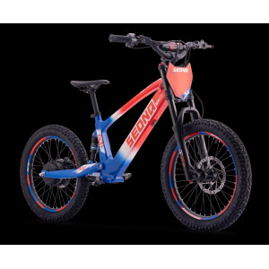 Elektrisches Laufrad Sedna SX 20" Blau/Weiß/Rot