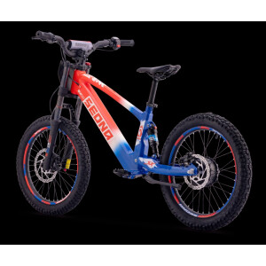 Elektrisches Laufrad Sedna SX 20" Blau/Weiß/Rot