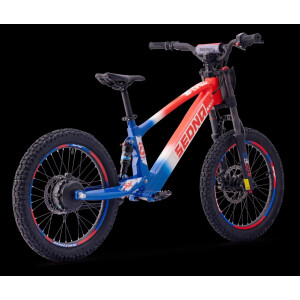 Elektrisches Laufrad Sedna SX 20" Blau/Weiß/Rot