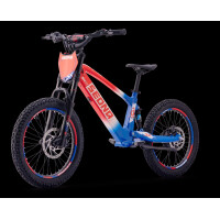Elektrisches Laufrad Sedna SX 20" Blau/Weiß/Rot