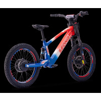 Elektrisches Laufrad Sedna SX 20" Blau/Weiß/Rot