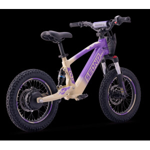 Elektrisches Laufrad Sedna SX 16" Lila